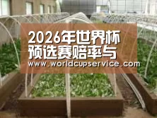 环境展示五