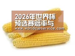 产品名称五
