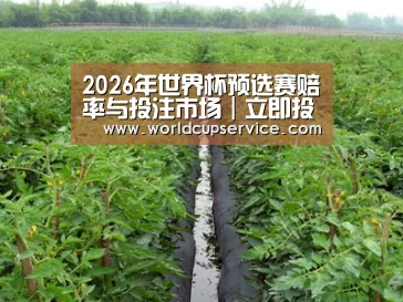 种植基地三