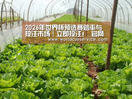 种植基地五