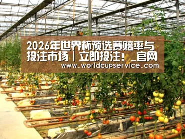 种植基地二(图1)