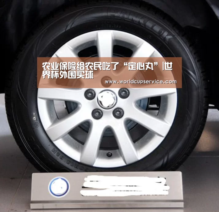 农业保险给农民吃了“定心丸”|世界杯外围买球(图2) 2026世界杯