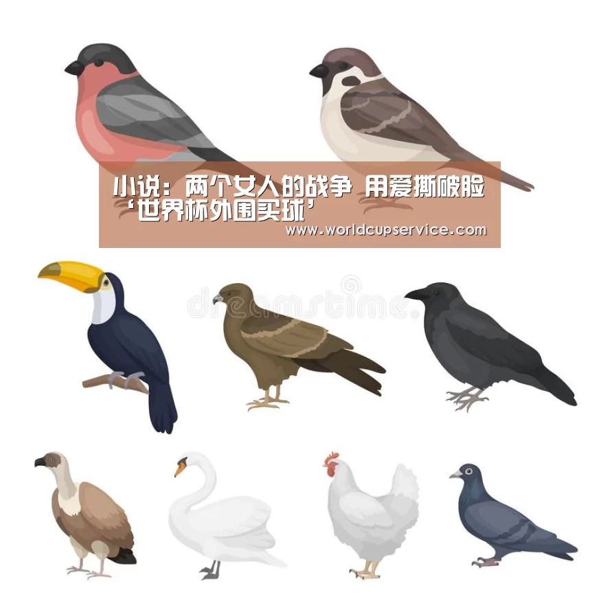 小说:两个女人的战争 用爱撕破脸‘世界杯外围买球’(图3) 世界杯投注
