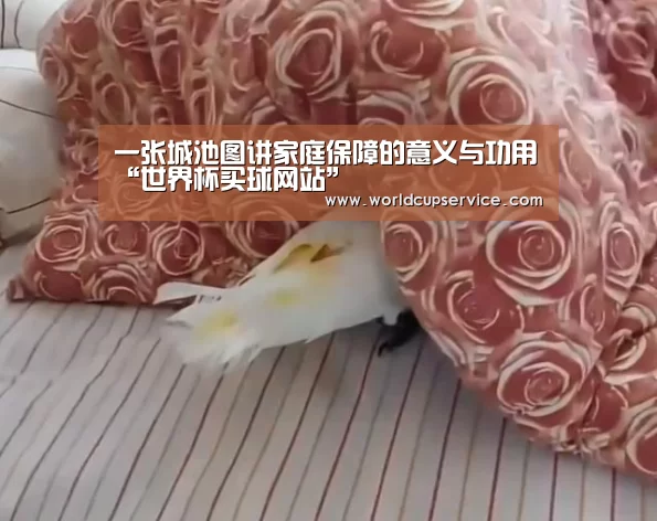 一张城池图讲家庭保障的意义与功用“世界杯买球网站”(图1) 世界杯买球网站