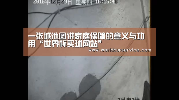 一张城池图讲家庭保障的意义与功用“世界杯买球网站”(图3) 世界杯买球网站