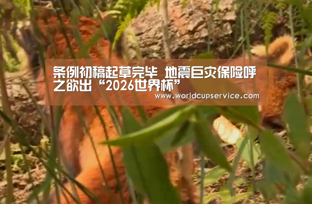 条例初稿起草完毕 地震巨灾保险呼之欲出“2026世界杯”(图1) 世界杯投注