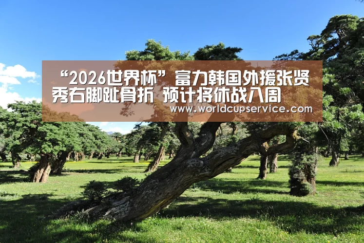 “2026世界杯”富力韩国外援张贤秀右脚趾骨折 预计将休战八周(图3) 世界杯外围买球